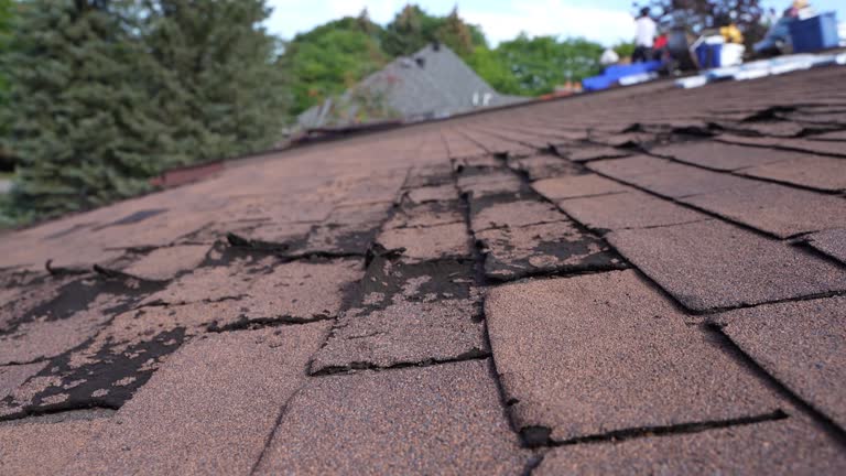 Best Gutter Installation and Repair  in Angels, CA