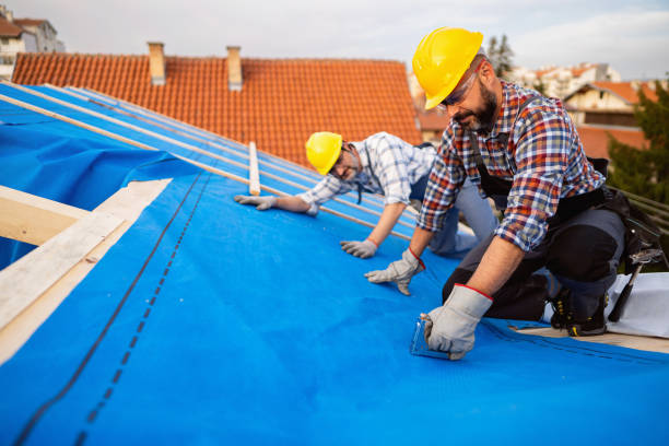 Best Roof Insulation Installation  in Angels, CA