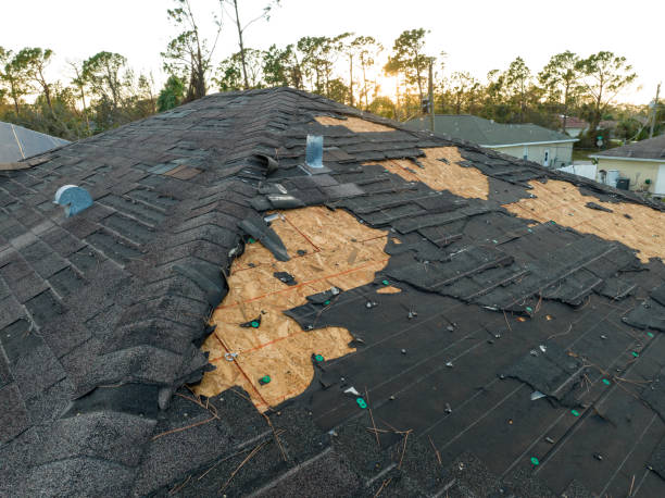 Best Skylight Installation and Repair  in Angels, CA
